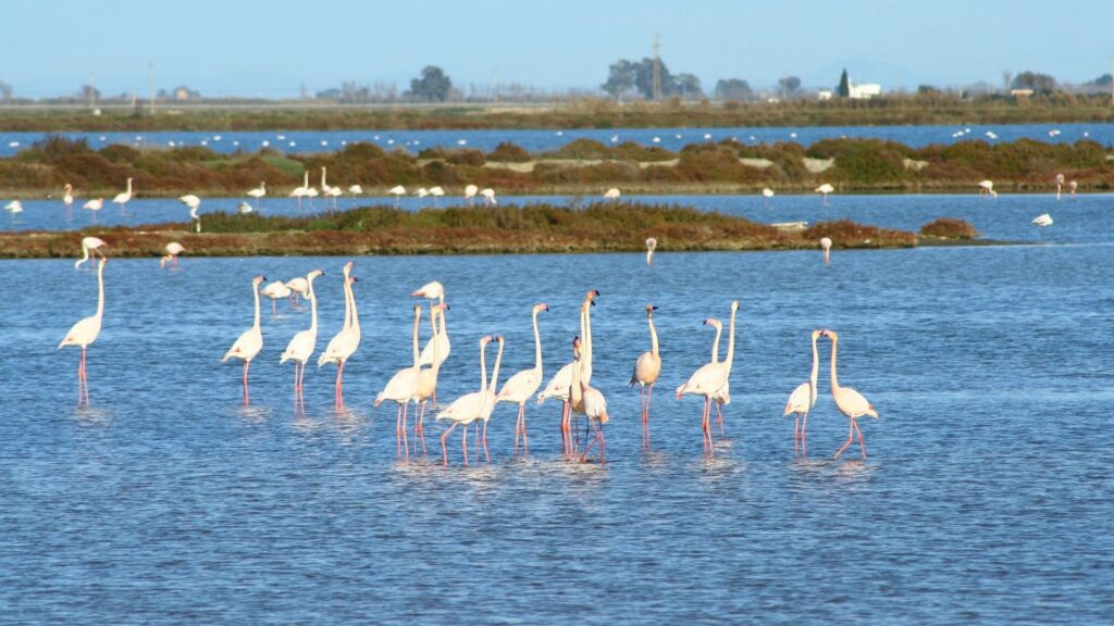 Le Bre Delta